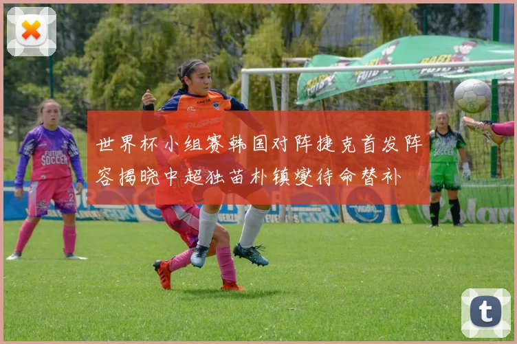 世界杯小组赛韩国对阵捷克首发阵容揭晓中超独苗朴镇燮待命替补