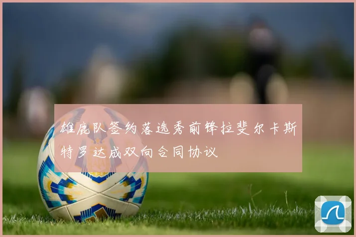 雄鹿队签约落选秀前锋拉斐尔卡斯特罗达成双向合同协议