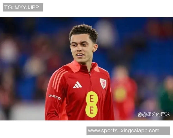 布伦南约翰逊以3500万镑创纪录转会身披水晶宫11号球衣 布伦南约翰逊以3500万镑创纪录转会身披水晶宫11号球衣